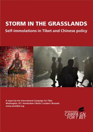 STORM in the GRASSLANDS Self-Immolations in Tibet and Chinese Policy