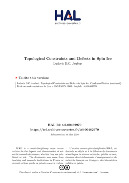 Topological Constraints and Defects in Spin Ice Ludovic D.C