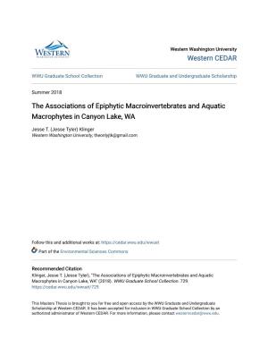 The Associations of Epiphytic Macroinvertebrates and Aquatic Macrophytes in Canyon Lake, WA