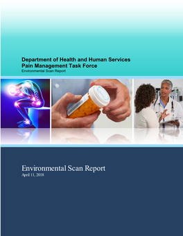 Pain Management Task Force Environmental Scan Report