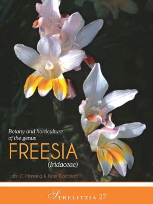 Freesia (Iridaceae)