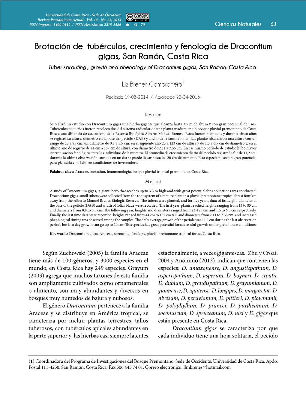 Brotación De Tubérculos, Crecimiento Y Fenología De Dracontium Gigas, San Ramón, Costa Rica