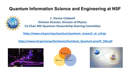 Quantum Information Science and Engineering at NSF