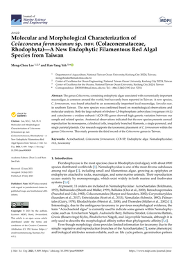 Colaconemataceae, Rhodophyta)—A New Endophytic Filamentous Red Algal Species from Taiwan