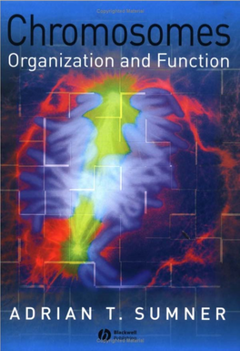 Chromosomes Organization and Function