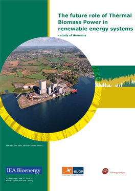 The Future Role of Thermal Biomass Power in Renewable Energy Systems