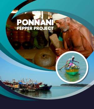 PONNANI PEPPER PROJECT History Ponnani Is Popularly Known As “The Mecca of Kerala”
