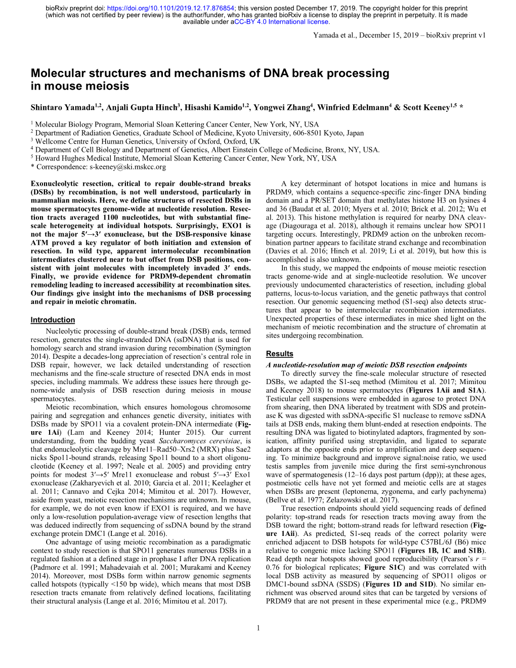 Molecular Structures and Mechanisms of DNA Break Processing in Mouse Meiosis