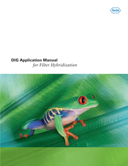 DIG Application Manual for Filter Hybridization.Indb