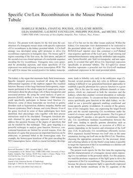 Specific Cre/Lox Recombination in the Mouse Proximal Tubule