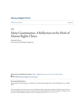 A Reflection on the Work of Human Rights Clinics Richard J