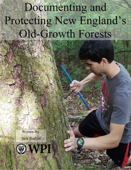 Documenting and Protecting New England's Old-Growth Forests