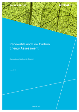 Renewable and Low Carbon Energy Assessment