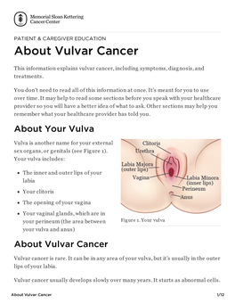 About Vulvar Cancer | Memorial Sloan Kettering Cancer Center