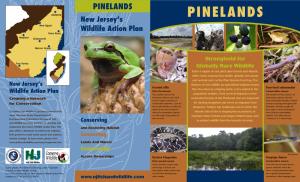 PINELANDS New Jersey’S PINELANDS Wildlife Action Plan