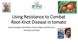 Using Resistance to Combat Root-Knot Disease in Tomato