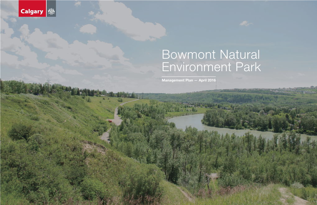 Bowmont Natural Environment Park Management Plan