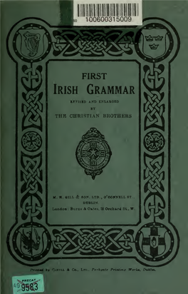 FIRST Irish Grammar