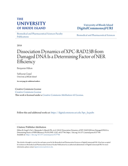 Dissociation Dynamics of XPC-RAD23B from Damaged DNA Is a Determining Factor of NER Efficiency Benjamin Hilton