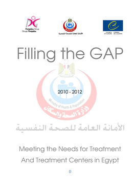 Meeting the Needs for Treatment and Treatment Centers in Egypt