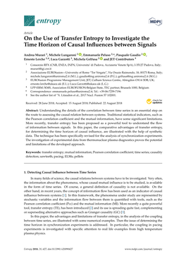 On the Use of Transfer Entropy to Investigate the Time Horizon of Causal Influences Between Signals