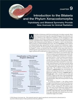 Introduction to the Bilateria and the Phylum Xenacoelomorpha Triploblasty and Bilateral Symmetry Provide New Avenues for Animal Radiation