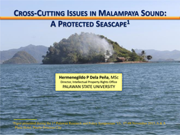 Cross-Cutting Issues in Malampaya Sound: a Protected Seascape1