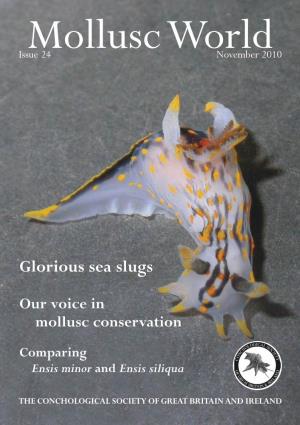 Mollusc World Magazine