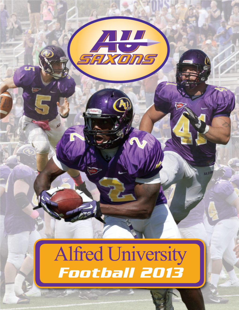 Alfred University Athletics