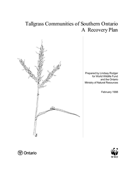 Tallgrass Communities of Southern Ontario a Recovery Plan