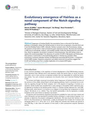 Evolutionary Emergence of Hairless As a Novel Component of the Notch