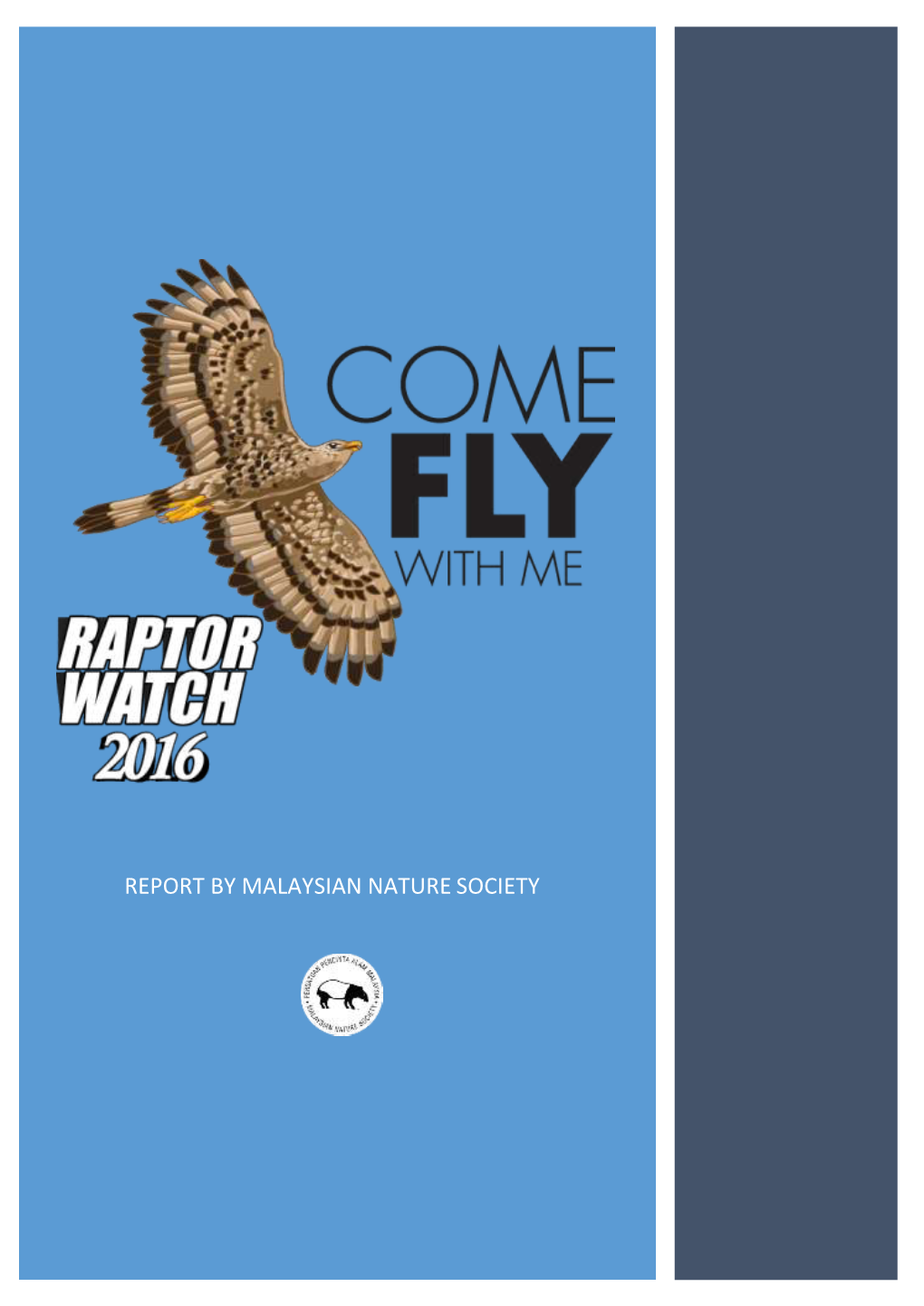 Raptor Watch 2015 Bunting & Banner