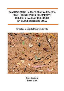 Evaluación De La Macrofauna Edáfica Como Bioindicador Del Impacto Del Uso Y Calidad Del Suelo En El Occidente De Cuba