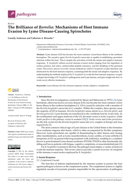 The Brilliance of Borrelia: Mechanisms of Host Immune Evasion by Lyme Disease-Causing Spirochetes