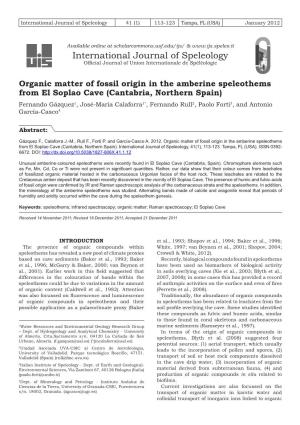 Organic Matter of Fossil Origin in the Amberine Speleothems from El