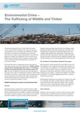 Environmental Crime – the Trafficking of Wildlife and Timber