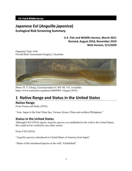 Anguilla Japonica (Japanese Eel) ERSS