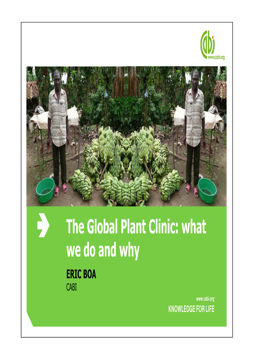 The Global Plant Clinic