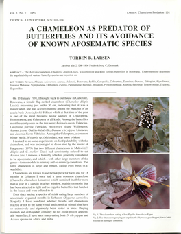 A Chameleon As Predator of Butterflies and Its Avoidance of Known Aposematic Species