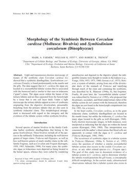 Morphology of the Symbiosis Between Corculum Cardissa (Mollusca: Bivalvia) and Symbiodinium Corculorum (Dinophyceae)