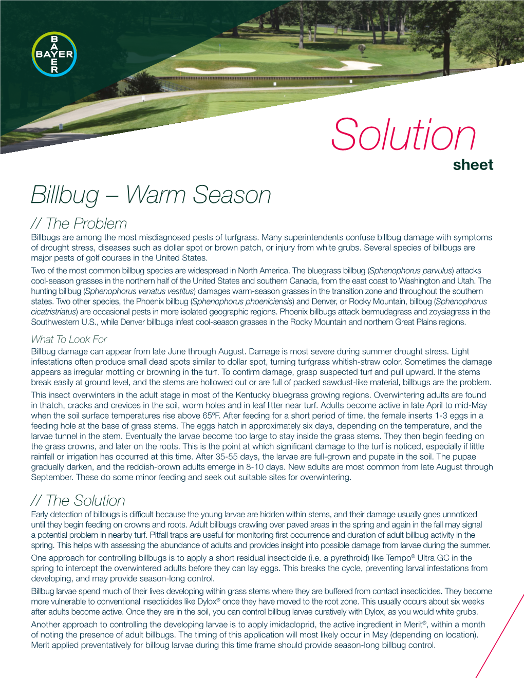 Billbug – Warm Season // the Problem Billbugs Are Among the Most Misdiagnosed Pests of Turfgrass