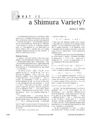 A Shimura Variety?