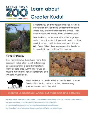Greater Kudu and the Tallest Antelope in Africa! They Prefer Dry Woodland and Savanna Habitat Where They Browse from Trees and Shrubs