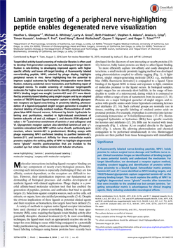 Laminin Targeting of a Peripheral Nerve-Highlighting Peptide Enables Degenerated Nerve Visualization