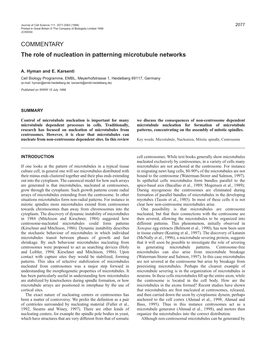 The Role of Nucleation in Patterning Microtubule Networks