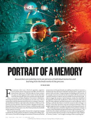 Researchers Are Painting Intricate Pictures of Individual Memories and Learning How the Brain Works in the Process
