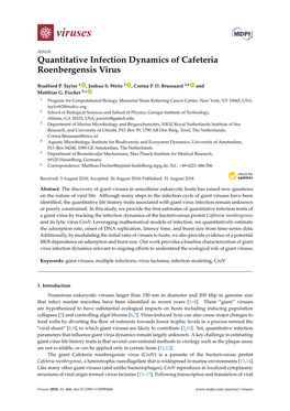 Quantitative Infection Dynamics of Cafeteria Roenbergensis Virus