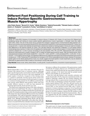Different Foot Positioning During Calf Training to Induce Portion-Specific