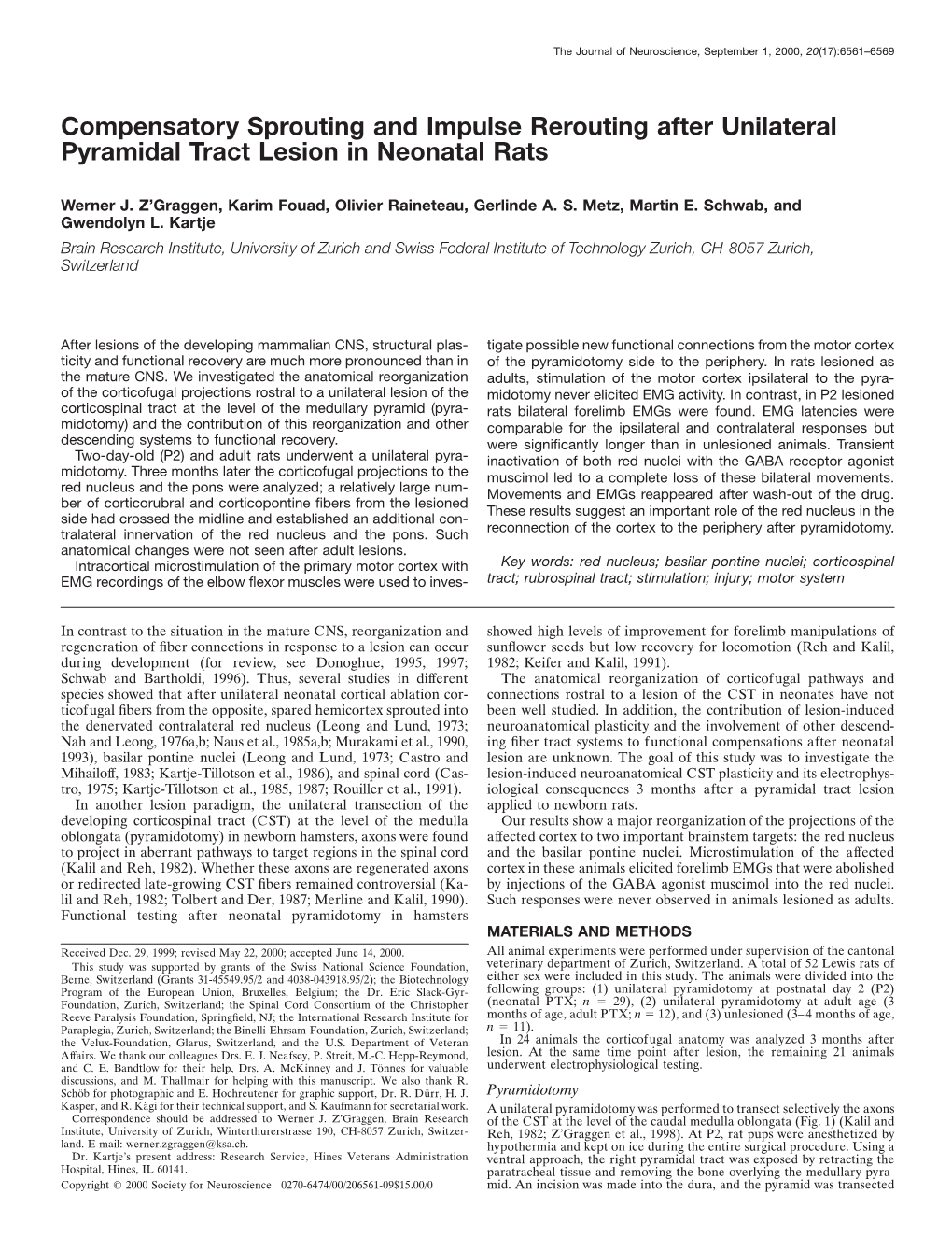 Compensatory Sprouting and Impulse Rerouting After Unilateral Pyramidal Tract Lesion in Neonatal Rats