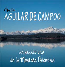 Guía Aguilar 2013